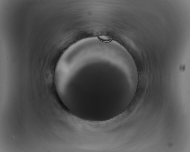 X0000101680039200807241356