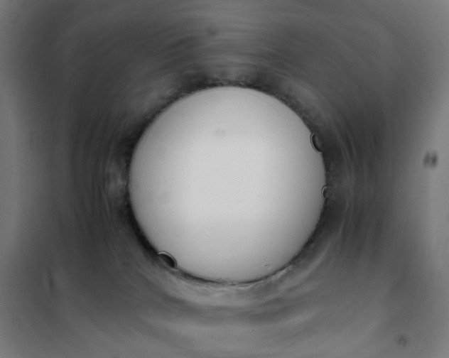 X0000101680040200807241356