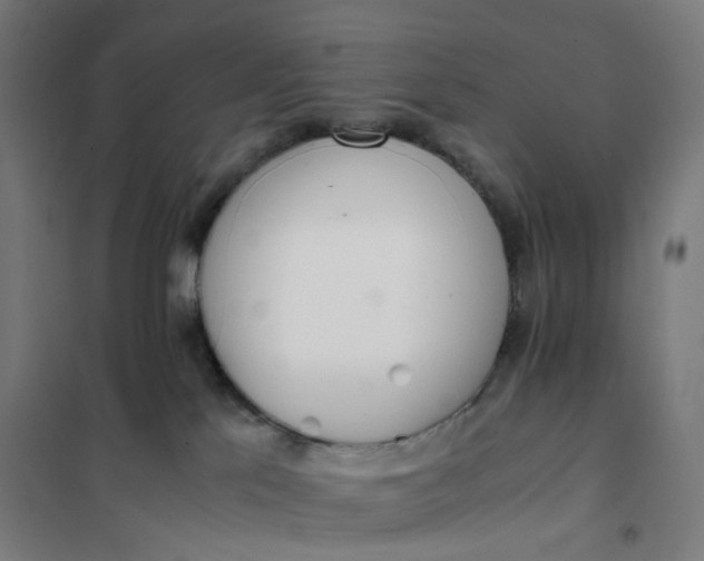 X0000101680041200807241356