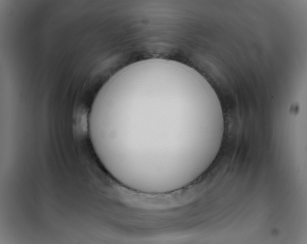 X0000101680042200807241356