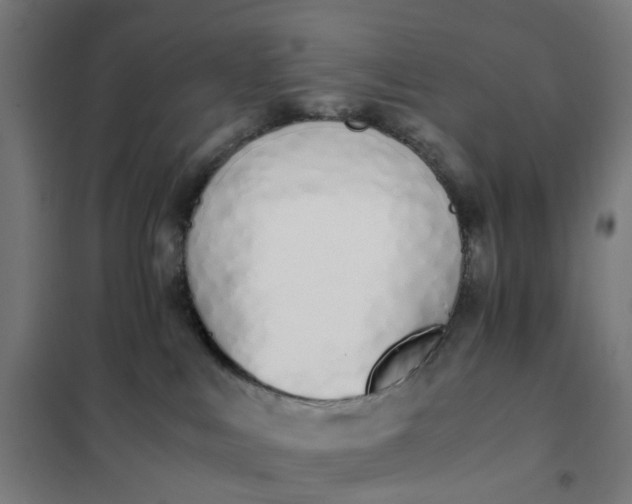 X0000101680043200807241356