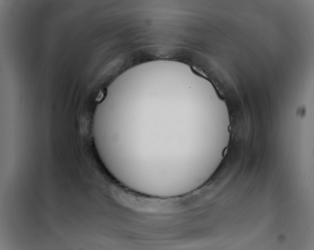 X0000101680044200807241356