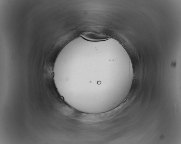 X0000101680045200807241356