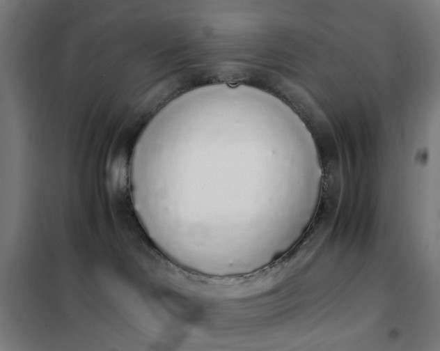 X0000101680046200807241356