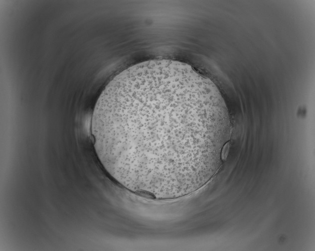 X0000101680047200807241356