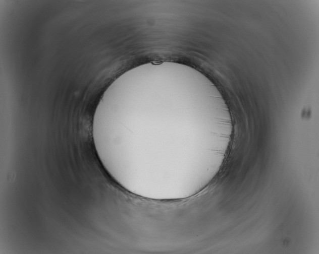 X0000101680048200807241356