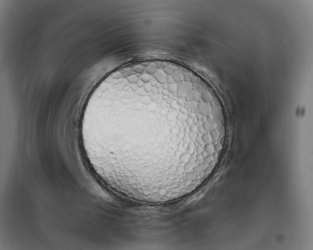 X0000101680049200807241355