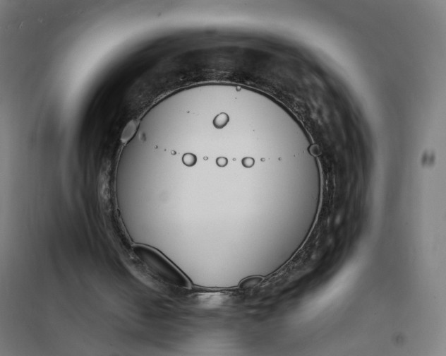 X0000101680050200807241355