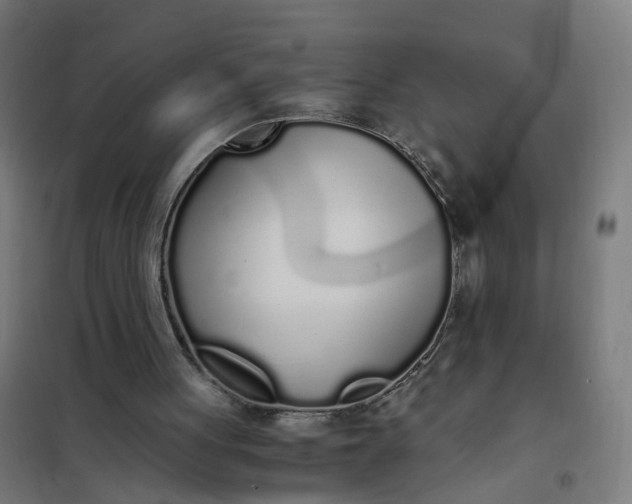 X0000101680051200807241355