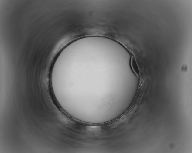 X0000101680053200807241355