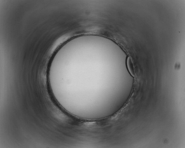 X0000101680054200807241355