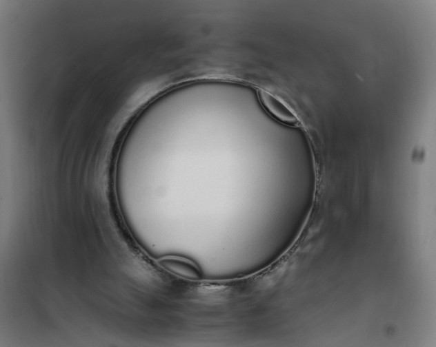 X0000101680055200807241355