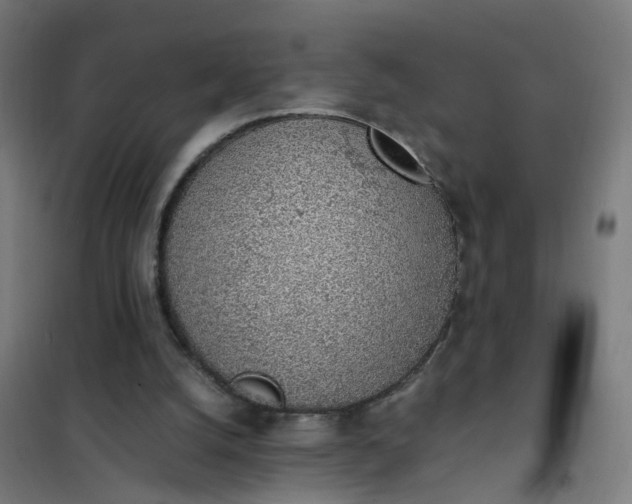 X0000101680056200807241355