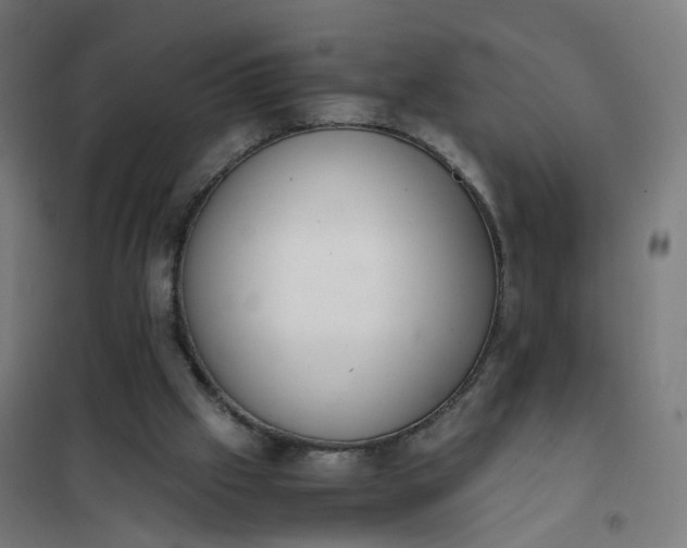 X0000101680057200807241355