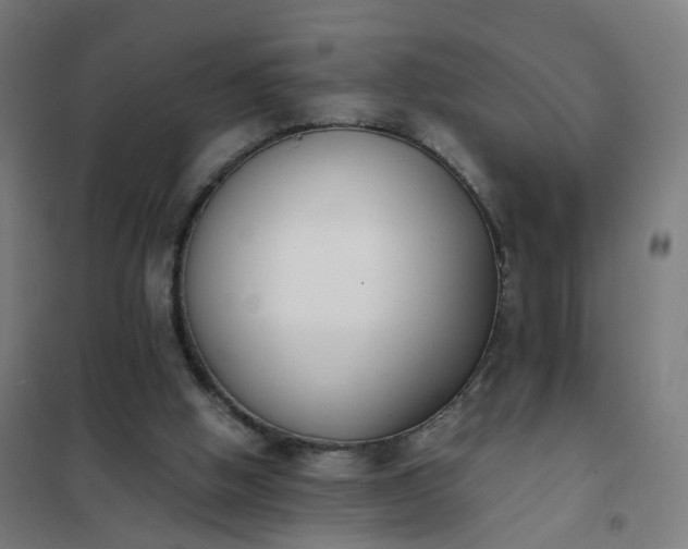 X0000101680058200807241355