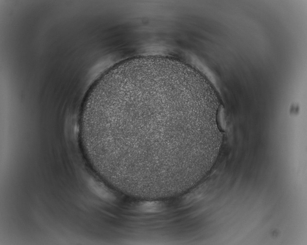 X0000101680059200807241355