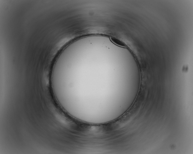 X0000101680060200807241355