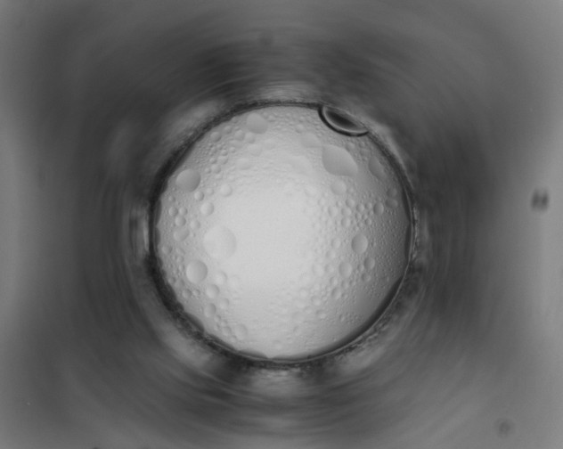 X0000101680061200807241355