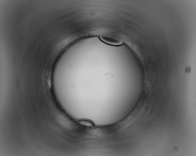 X0000101680062200807241356