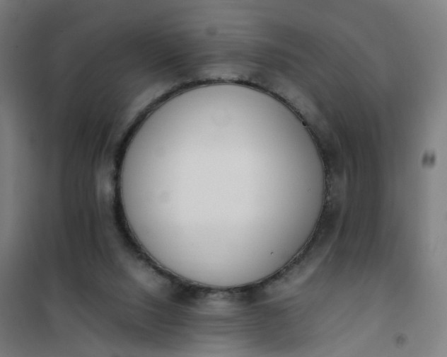 X0000101680064200807241356