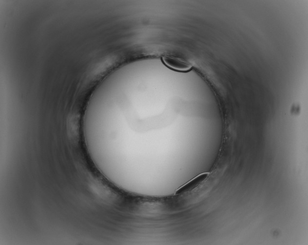 X0000101680066200807241356