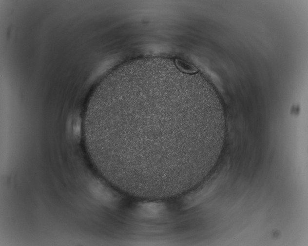 X0000101680067200807241356