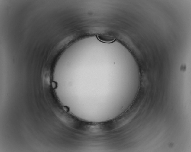 X0000101680068200807241356