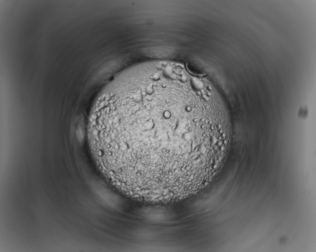 X0000101680069200807241356