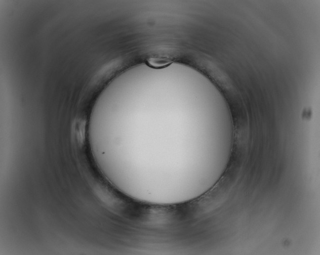 X0000101680070200807241356