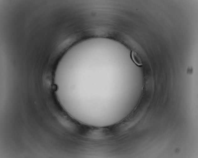 X0000101680072200807241356