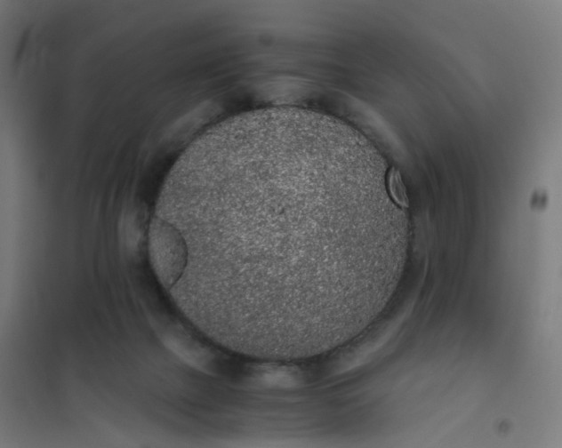 X0000101680073200807241356