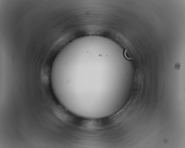 X0000101680074200807241356