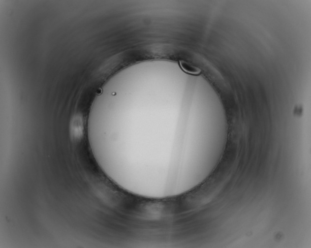 X0000101680075200807241356