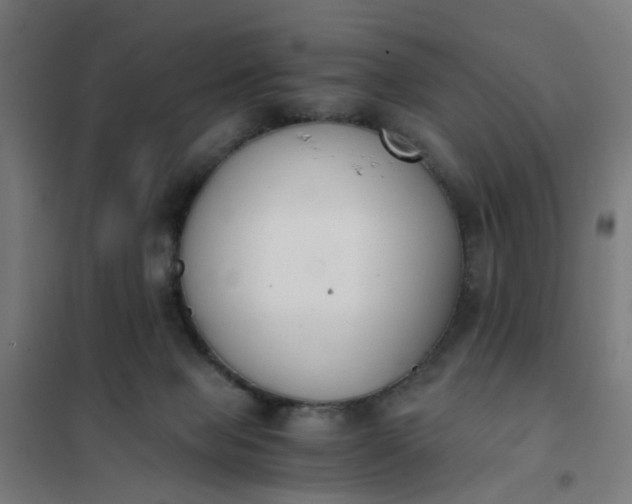 X0000101680077200807241356