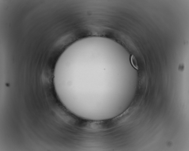 X0000101680078200807241356