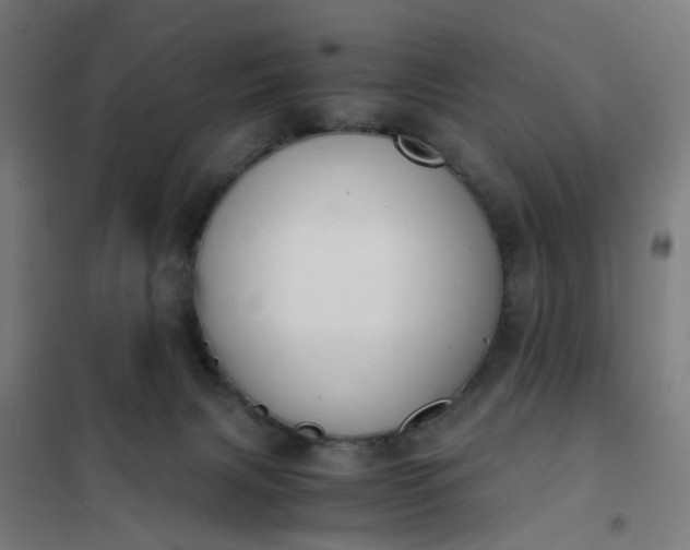 X0000101680079200807241356