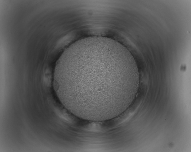 X0000101680080200807241356