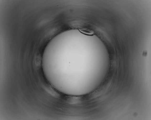 X0000101680081200807241356