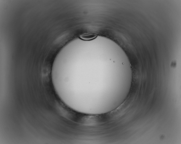 X0000101680082200807241356