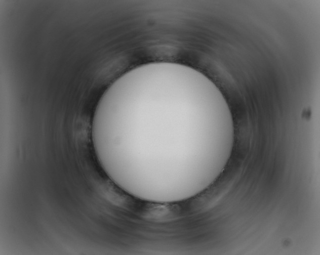 X0000101680083200807241356