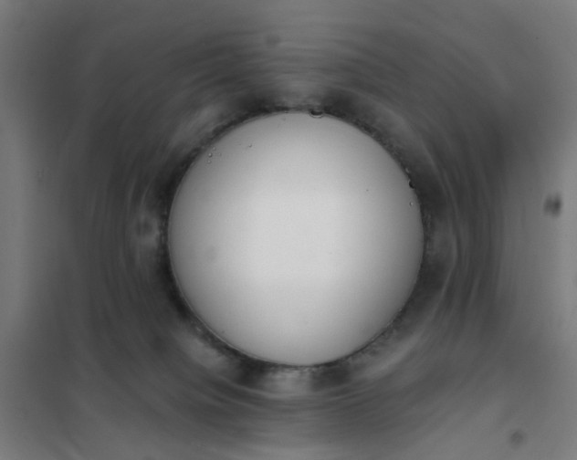 X0000101680084200807241356