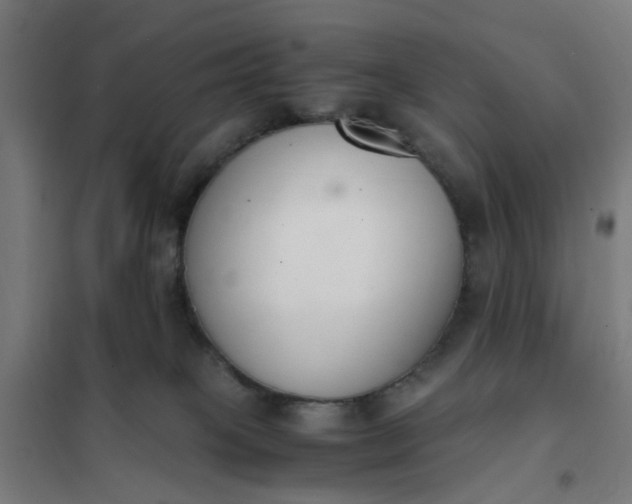 X0000101680085200807241356