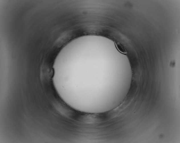 X0000101680086200807241356