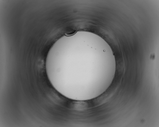 X0000101680087200807241356