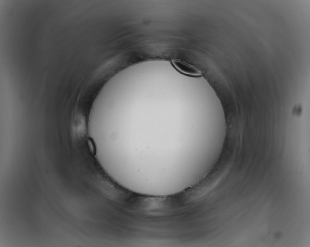 X0000101680089200807241356