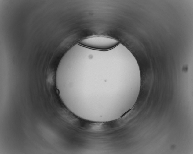 X0000101680090200807241356