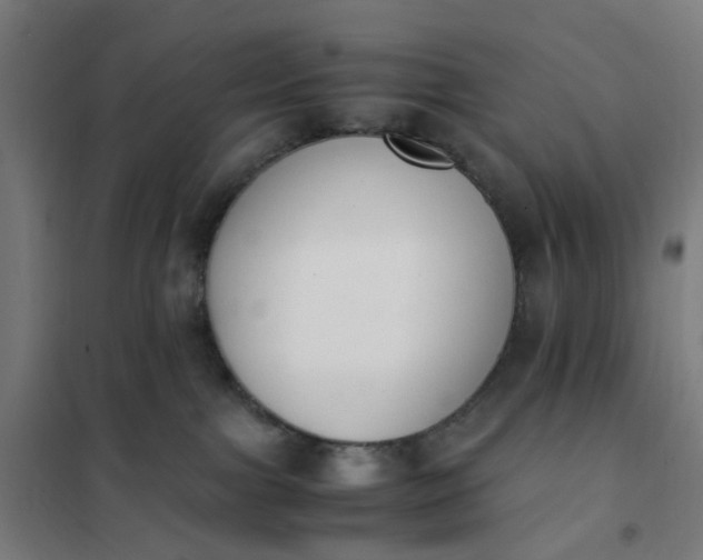 X0000101680091200807241356