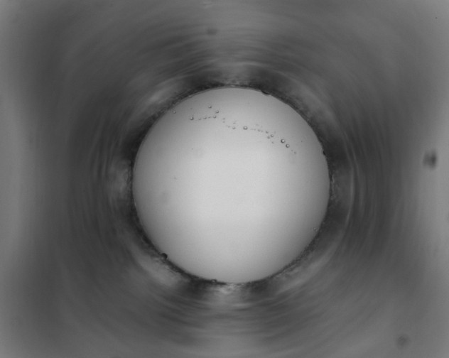 X0000101680092200807241356