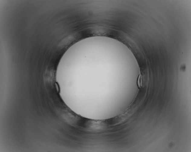 X0000101680093200807241356