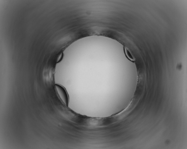 X0000101680094200807241356